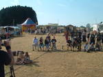 Wispa Festival 2005